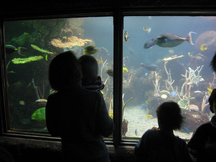 Seattle Aquarium 23.JPG